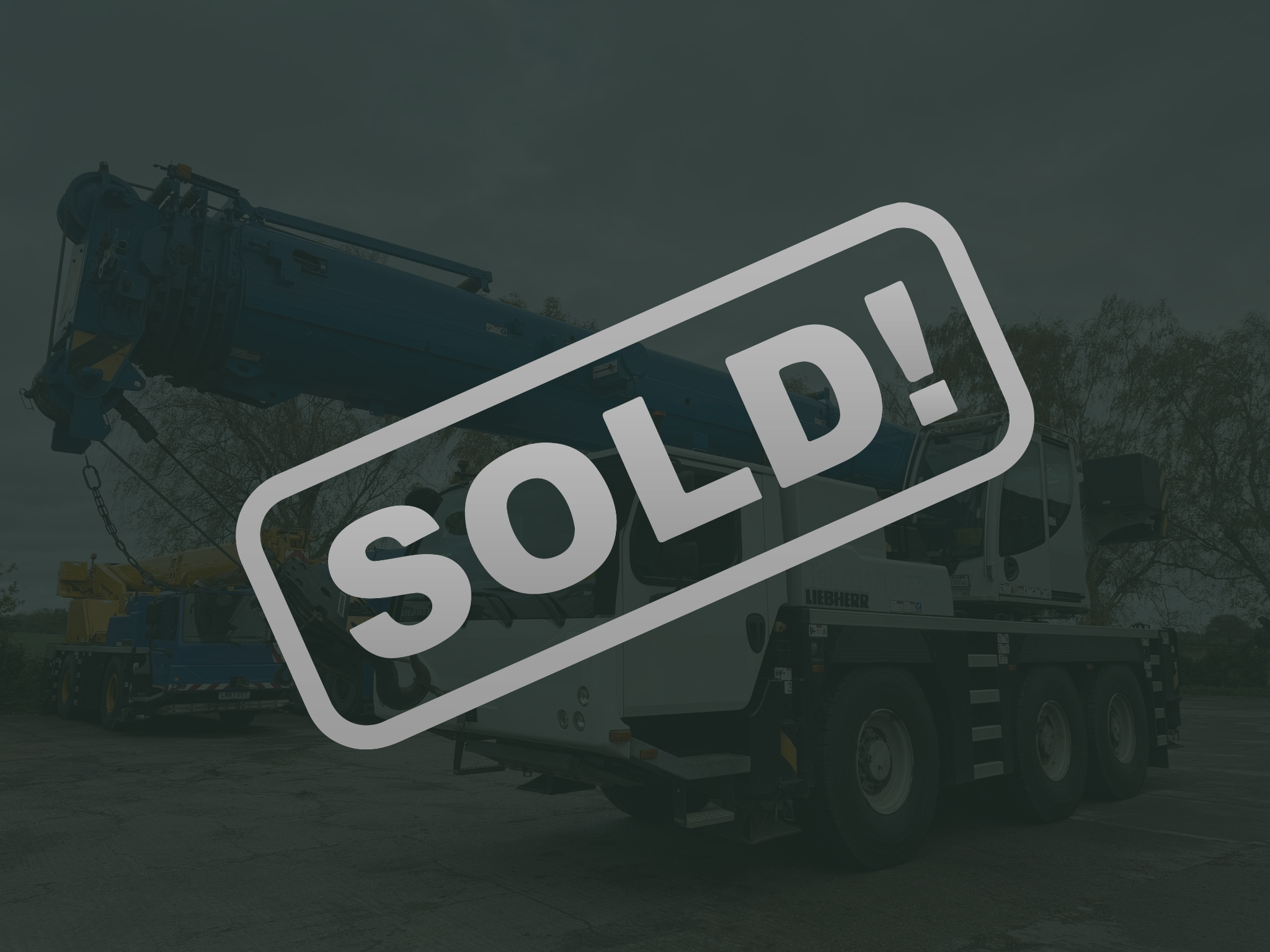 Untitled design (25)